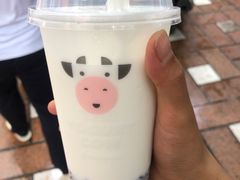 -一只酸奶牛(八一路店)