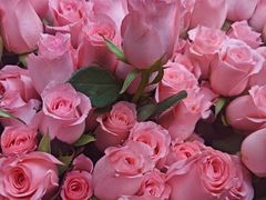 -亭亭鲜花店(中山北路店)