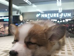 -乐宠宠物店(世纪金源店)