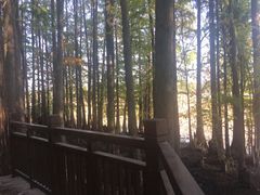 -东湖落雁景区