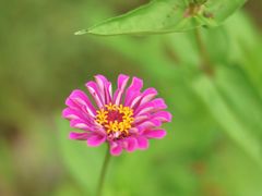 滨湖湿地公园-合肥滨湖国家森林公园