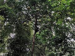 -成都杜甫草堂博物馆