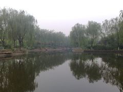 -石家庄市植物园