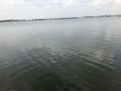 -鹅湖玫瑰文化园