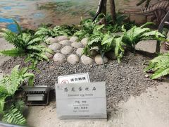 -延庆地质公园博物馆