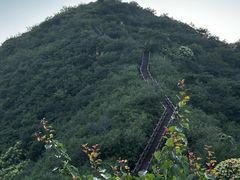 -大岭沟猕猴桃谷风景区