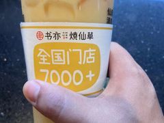 -书亦烧仙草(韩愈大街店)