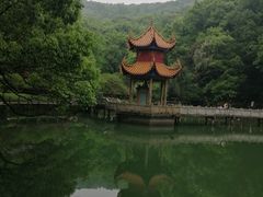 -岳麓山风景名胜区