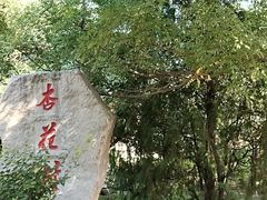 -北京凤凰岭