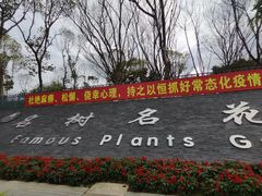 -东莞植物园