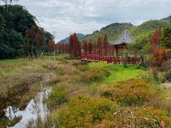 -广州市石门国家森林公园