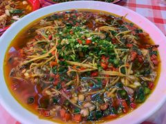 -天鹅到家·保姆月嫂育儿嫂(天河店)