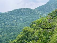-阳台山自然风景区