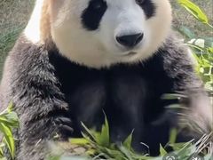 -湘西小馆(滨河路店)