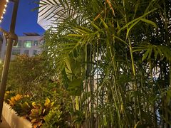 -泰堤坊(淡水体育馆店)