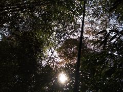-竹子庵公园
