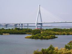 -芒洲湿地公园