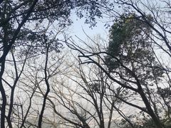 -北高峰