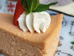 -THE PRESS(申报馆店)