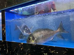 -官塘锋记鱼生·生腌·砂锅粥(牌坊街店)