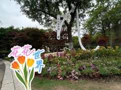 -青枫公园