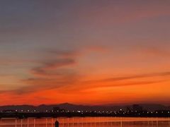 -深圳湾公园(南山区)
