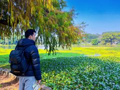 -南宁良凤江国家森林公园