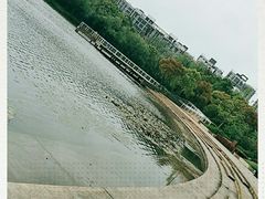 -新江湾城公园