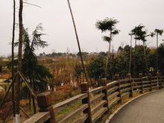 -白鹭湾湿地公园