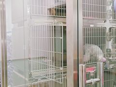 -宠福鑫康馨动物医院·骨科·眼科
