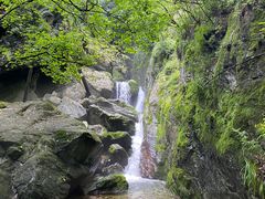 -牛背梁国家森林公园