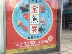 -西海国立公园九十九岛水族馆