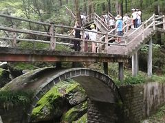 -牛背梁国家森林公园