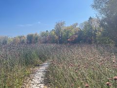 -长白山万达喜来登度假酒店