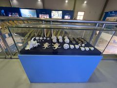 -上海海洋大学鱼文化博物馆(军工路校区)