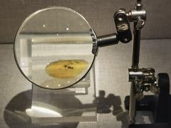 -湖南省地质博物馆