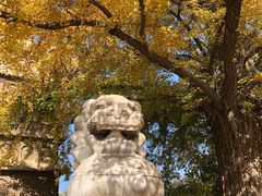-北京石刻艺术博物馆(五塔寺)