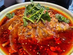 夫妻肺片-陈麻婆豆腐总店