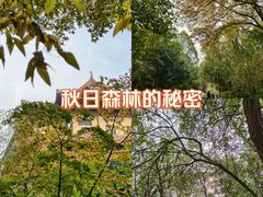 -南京市江宁方山