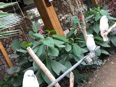 -南宫五洲植物乐园