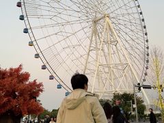 -南昌之星摩天轮