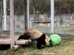 -西安秦岭野生动物园