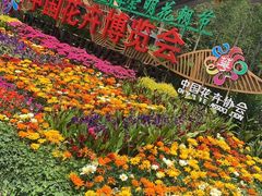 -东平国家森林公园