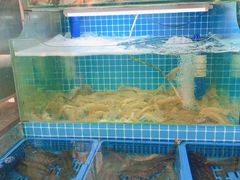 -老东镇啤酒屋海鲜加工·蒸汽海鲜·海鲜烧烤(台东店)