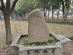 -莲花岛景区