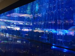 -成都浩海立方海洋公园