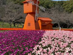 -苏州上方山国家森林公园