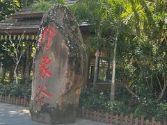 -野象谷景区