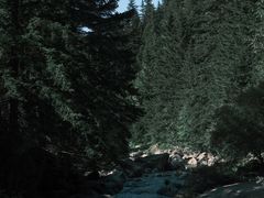-芦芽山旅游度假区