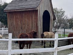 -祥源·阜阳生态乐园